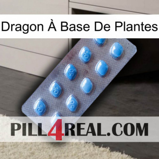 Dragon À Base De Plantes viagra3